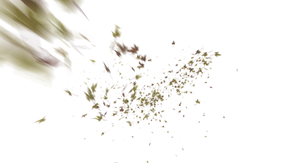 Leaves PNG - Genariq