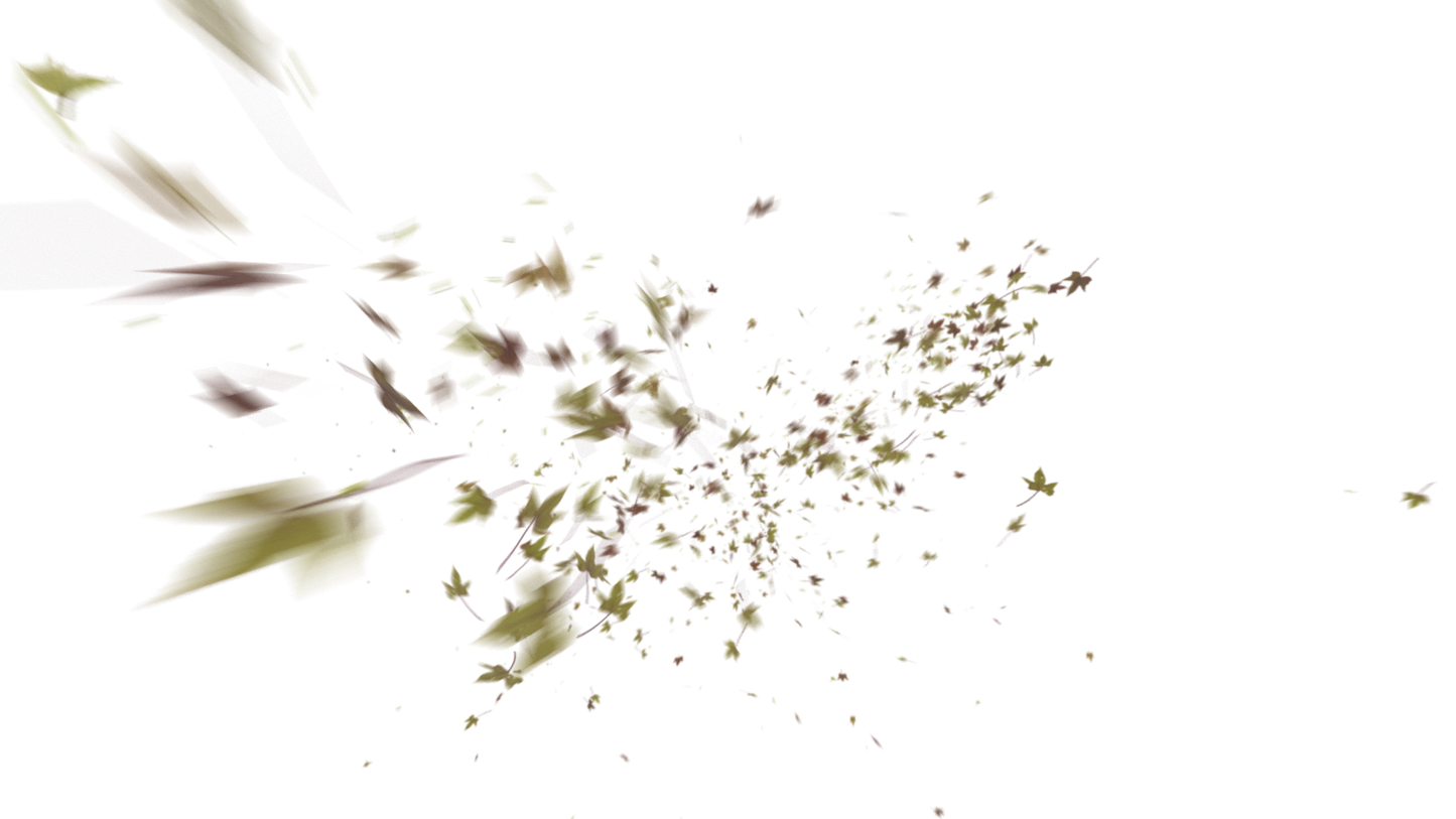 Leaves PNG - Genariq