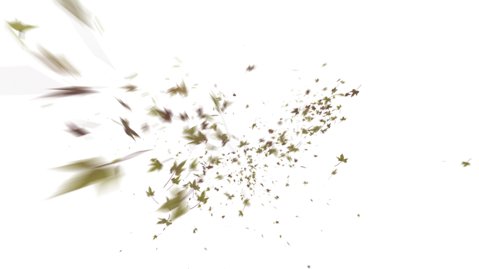 Leaves PNG - Genariq