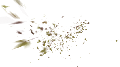 Leaves PNG - Genariq