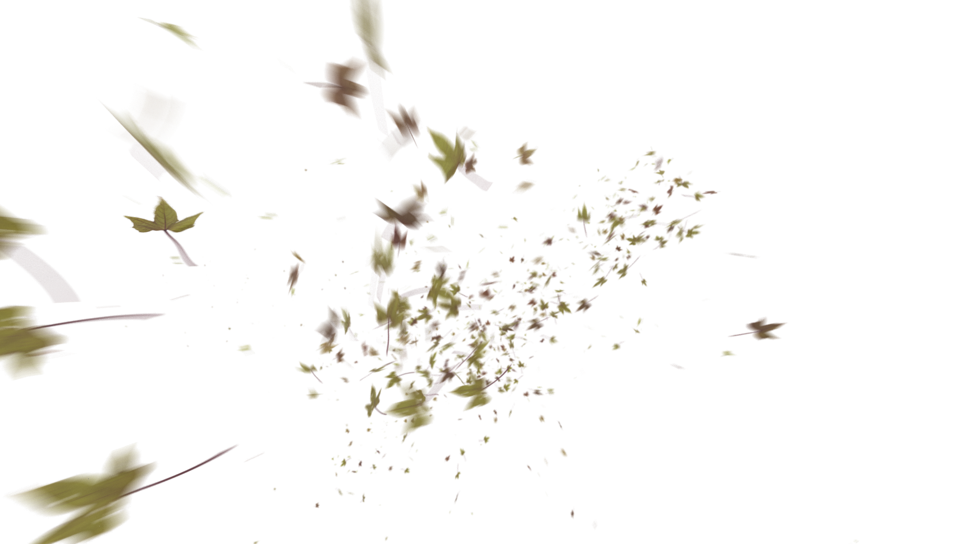 Leaves PNG - Genariq
