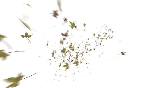 Leaves PNG - Genariq