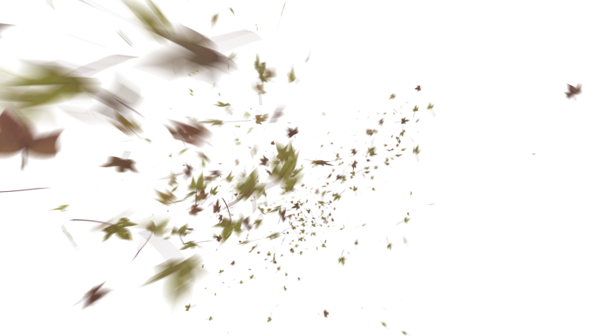 Leaves PNG - Genariq