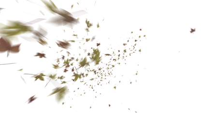 Leaves PNG - Genariq