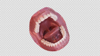 mouth open 3D png 