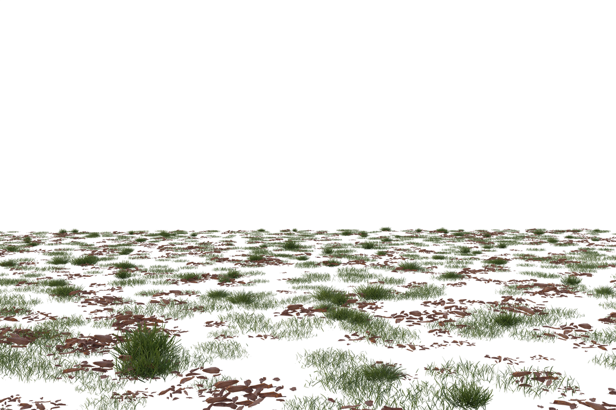 Flower Fields - Genariq