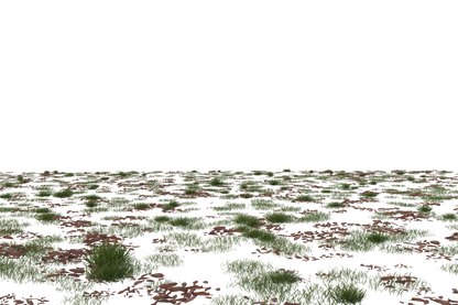 Flower Fields - Genariq